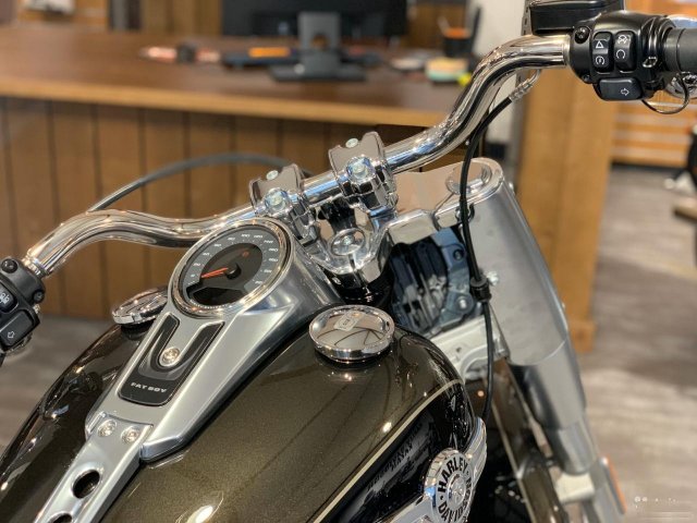 Harley-Davidson Fat Boy107 2020г