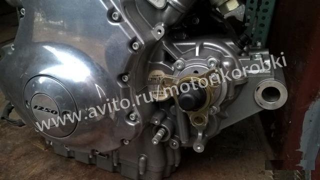 Двигатель Harley Davidson V-Rod Muscle