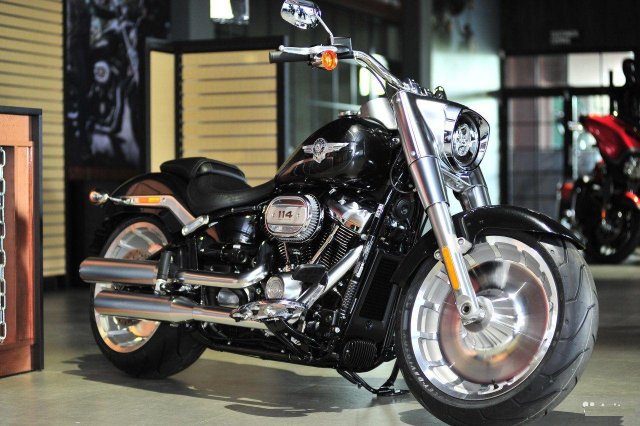 Fat Boy Harley-Davidson flfbs