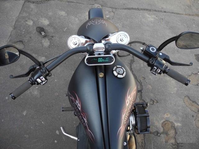 Harley Davidson Softail Custom