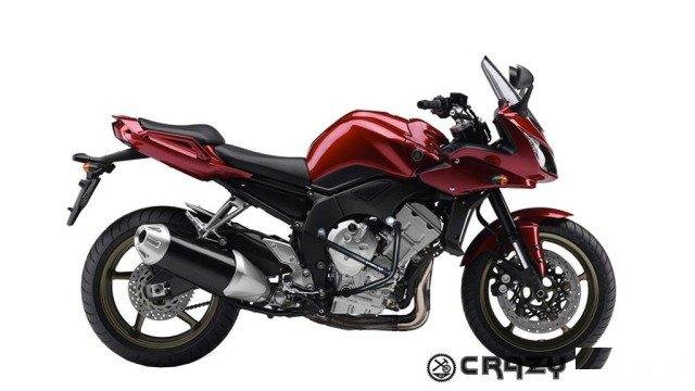 Дуги для Yamaha FZ1, FZ8 2006-2016 crazy iron