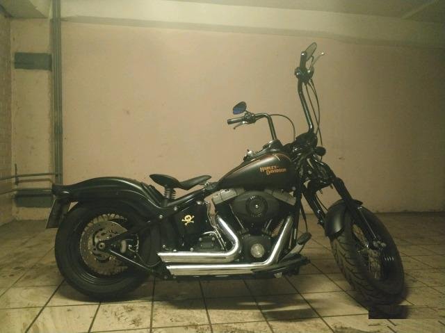 Harley Davidson flstsb Cross bones